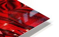 Red Dahlia HD Metal print