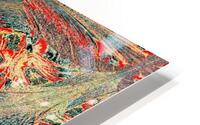 An Ancient Wildflower HD Metal print