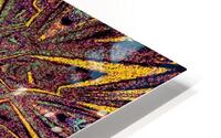 A Tangled Wildflower HD Metal print
