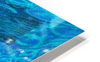 Blue Winter Wildflower HD Metal print
