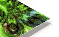 Irish Bloom HD Metal print