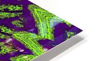 Purple Summer HD Metal print