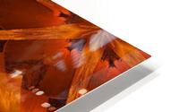 Copper Lotus 2 HD Metal print