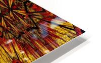 Hidden Lotus Flower HD Metal print
