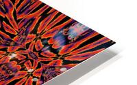 Lotus Aura HD Metal print