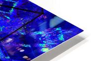 Lotus In Moonlight 2 HD Metal print