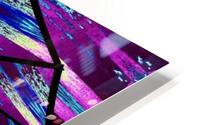 Universal Light Lotus HD Metal print