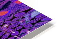 Falling Lotus HD Metal print
