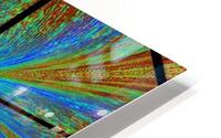 Lotus Glow HD Metal print
