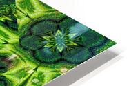 Green Lotus HD Metal print