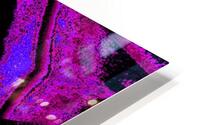 Sky Flower 5 HD Metal print