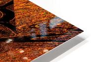 Glass Lotus HD Metal print