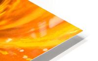 Orange Sun Lotus  HD Metal print