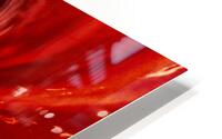 Scarlet Lotus  HD Metal print