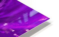 Purple Lotus  HD Metal print