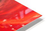 Red Lotus HD Metal print