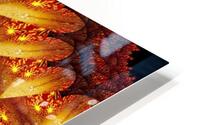 Lotus Birth 2 HD Metal print