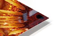 Lotus Birth 3 HD Metal print