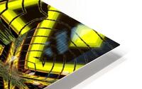 Plastic Lotus 9 HD Metal print
