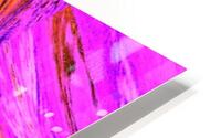 Painted Lotus 1 HD Metal print