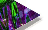 Painted Lotus 10 HD Metal print