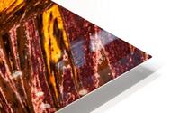 Painted Lotus 16 HD Metal print