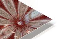 White Lotus 1 HD Metal print