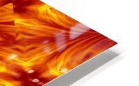 Fire Flowers 6 HD Metal print