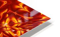 Fire Flowers 19 HD Metal print
