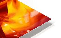 Fire Flowers 28 HD Metal print