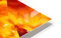 Fire Flowers 29 HD Metal print