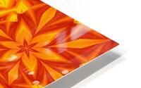 Fire Flowers 32 HD Metal print