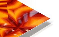 Fire Flowers 35 HD Metal print