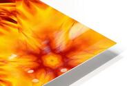 Fire Flowers 37 HD Metal print