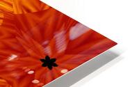 Fire Flowers 67 HD Metal print