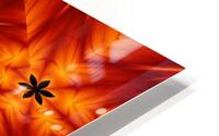 Fire Flowers 96 HD Metal print
