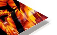 Fire Flowers 111 HD Metal print