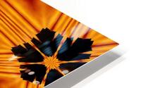 Fire Flowers 119 HD Metal print