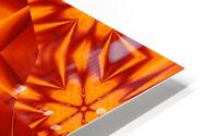Fire Flowers 135 HD Metal print