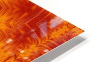 Fire Flowers 159 HD Metal print