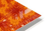 Fire Flowers 164 HD Metal print
