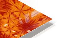Fire Flowers 172 HD Metal print