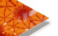Fire Flowers 182 HD Metal print