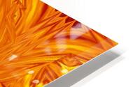 Fire Flowers 200 HD Metal print