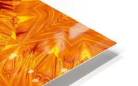 Fire Flowers 202 HD Metal print