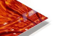 Fire Flowers 203 HD Metal print