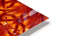 Fire Flowers 207 HD Metal print