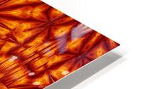 Fire Flowers 208 HD Metal print