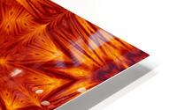 Fire Flowers 214 HD Metal print