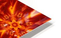 Fire Flowers 236 HD Metal print